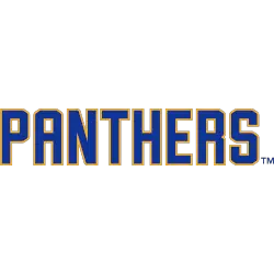 Pittsburgh Panthers Wordmark Logo 2020 - Present